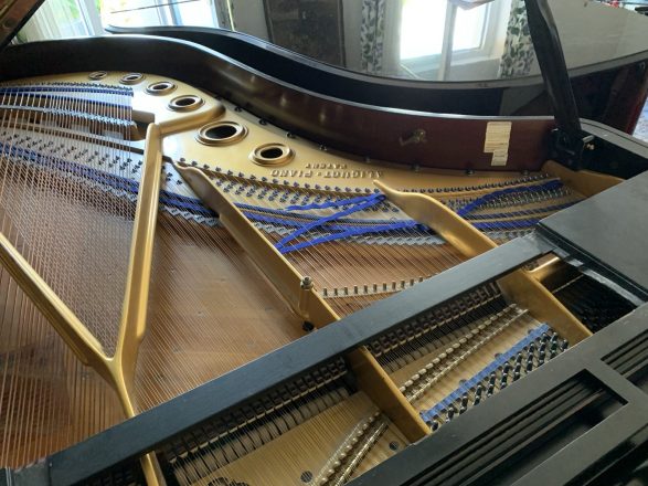 Blüthner Flügel 210, Akustische Anlage Mittellage-Diskant