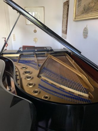 Blüthner Flügel 210, Bass