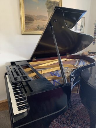 Blüthner Flügel 210, Diskant-Ansicht