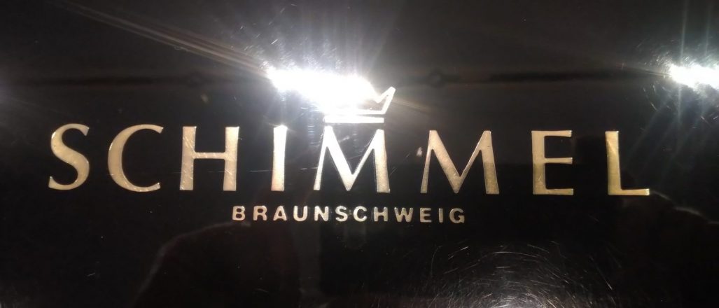 Schimmel Flügel 208