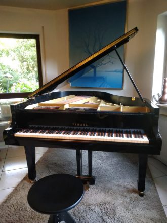 Yamaha G2, frontal