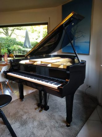 Yamaha G2, seitliche Ansicht