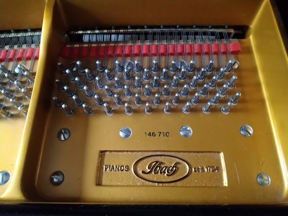 Ibach Flügel 182, Gussplatte Diekant mit Seriennummer