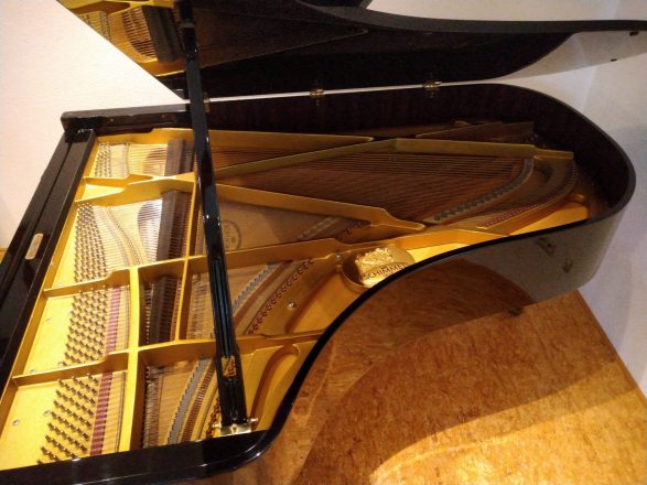 Schimmel Flügel 208, Akustische Anlage