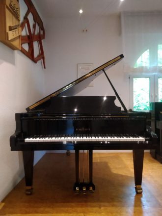 Schimmel Flügel 208, Vorderansicht offen