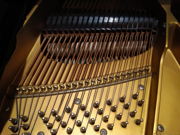 Schimmel Flügel 208, Wirbelfeld Bass
