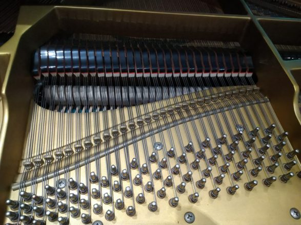Schimmel Flügel 208, Wirbelfeld Mittellage