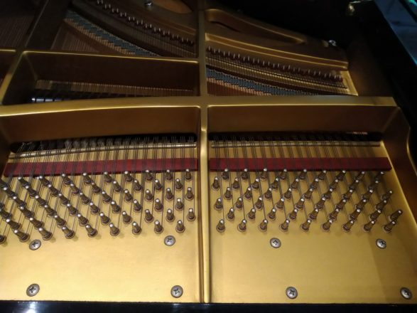 Schimmel Flügel 208, Wirbelfelder Diskant