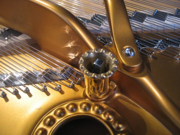 Steinway & Sons B-211 Detail