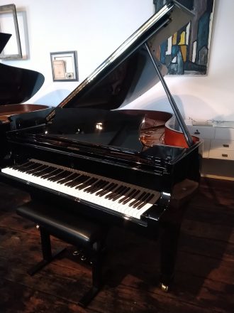 Steinway & Sons Modell B Nr 441652, Ansicht Diskant