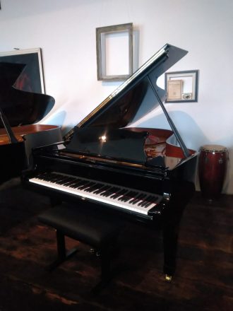 Steinway & Sons Modell B Nr. 387358, Ansicht Diskant