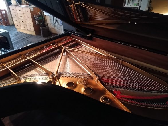 Steinway & Sons Modell B Nr. 395004, Akustische Anlage