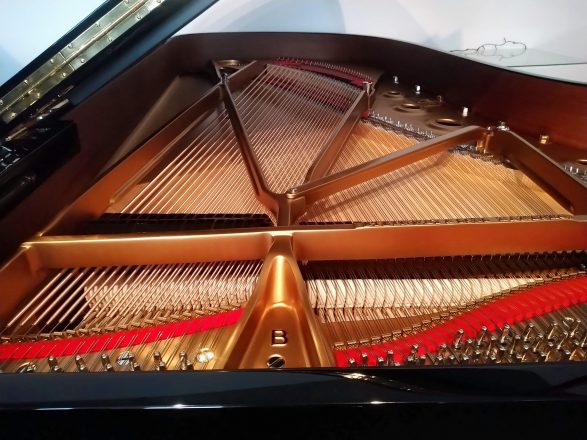 Steinway & Sons Modell B Nr. 441652, Akustische Anlage