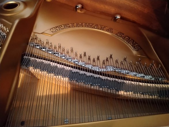 Steinway & Sons Modell B Nr. 441652, Diskantfeld